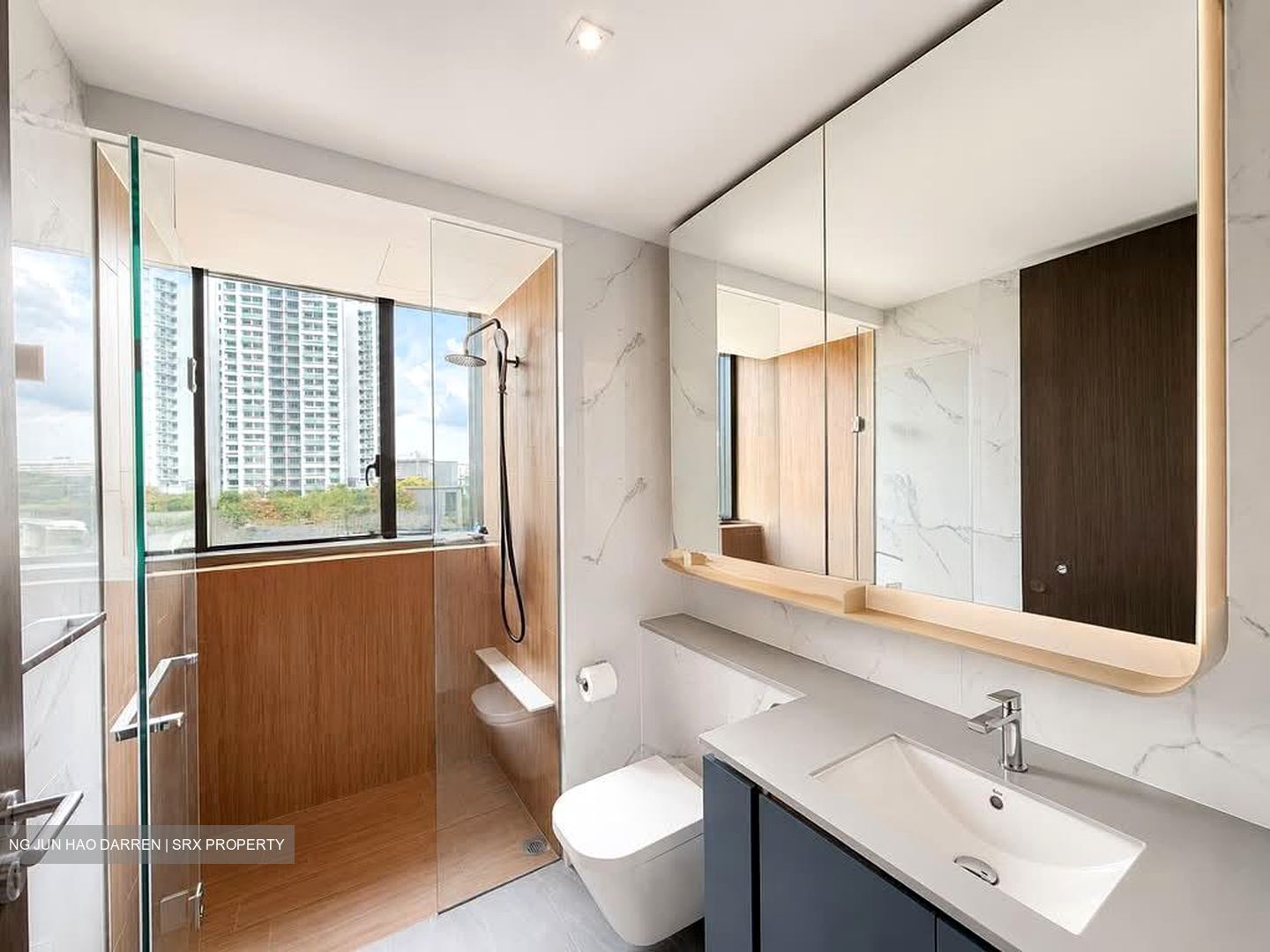 Amo Residence (D20), Apartment #556794761